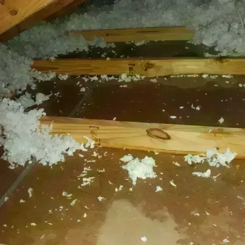 Attic Water Damage in Hector, MN