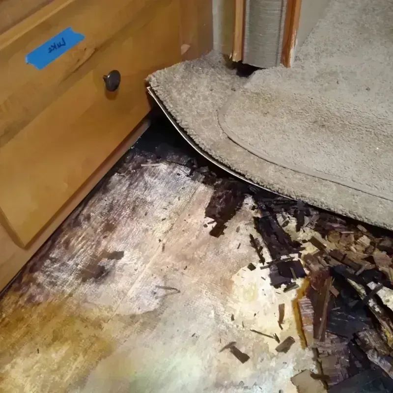 Wood Floor Water Damage in Hector, MN